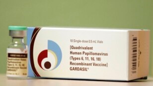 Gardasil, a Human Papillomavirus vaccine, is displayed at a clinic in Dallas, Texas March 6, 2007. 
