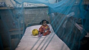 Pakistan Dengue Fever