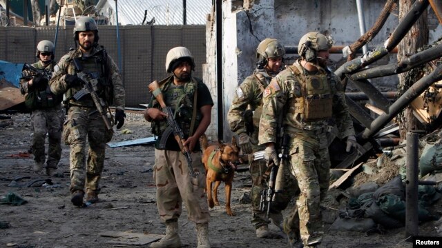 NATO and Afghan troops arrive at the site of a suicide attack in Jalalabad March 26, 2013. Taliban suicide bombers killed at least five policemen in Afghanistan's restive east on Tuesday, officials said, in a three-hour attack that coincided with a visit 