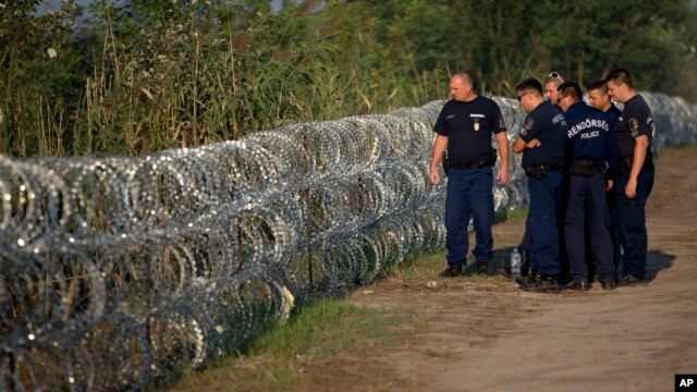 Cảnh sát Hungary kiểm tra một hàng rào thép gai dọc biên giới với Serbia, ngày 29/8/2015.