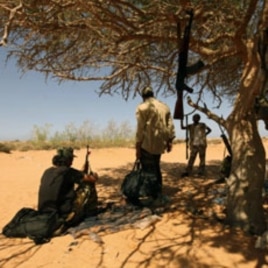 Libyan rebels rest in the shade of a tree as they gather in the al-Noflea area, near Muammar Gaddafi's hometown of Sirte, August 29, 2011