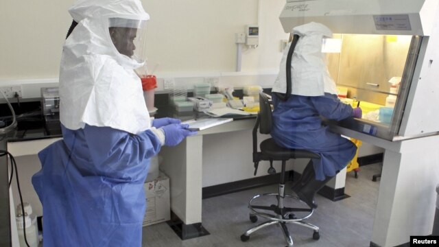 Doctors work in a laboratory on collected samples of the Ebola virus at the Center for Disease Control in Entebbe, southwest of Kampala, August 2, 2012. 