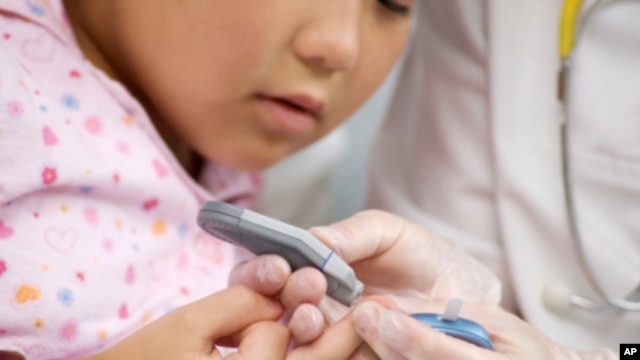 Scientists Develop Mouse With Human Diabetes
