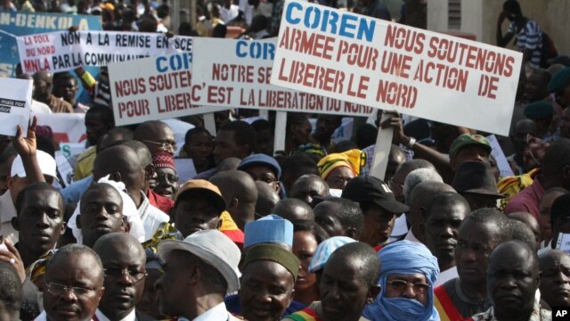 People originally from northern Mali carry signs reading 'We support army action to liberate the North,' as thousands of Malians, including elected officials, front, marched in support of foreign aid and military intervention to retake Mali's north from I