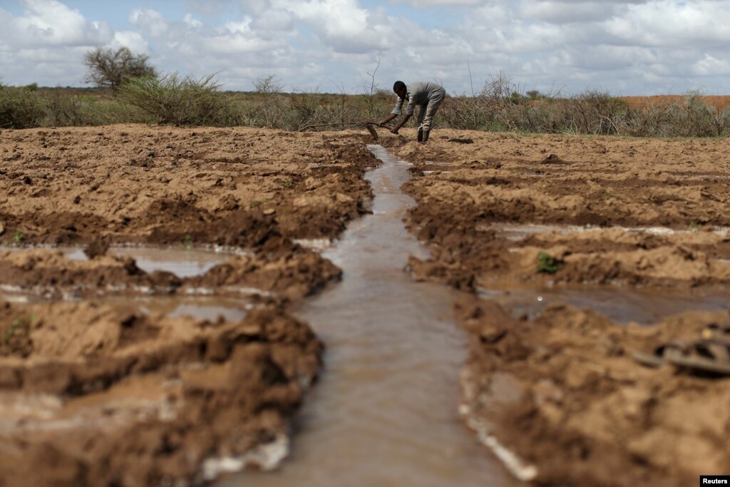 UN: Small Farmers Need Incentives as Falling Food Prices Hurt Incomes - Voice of America