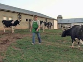 Mary Jane Roop used to run a dairy farm but now relies increasingly on tourists to boost profits.