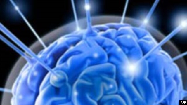 Chân dung Người trí thức