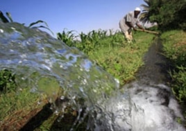 A Sudanese farmer prepares his land for irrigation on the banks of the river Nile in Khartoum (file photo).