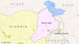 Borno State and Sambisa Forest