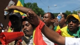 Ethiopian protesters called on President Obama to stop helping authoritarian leaders in Africa. (VOA / Nico Colombant)