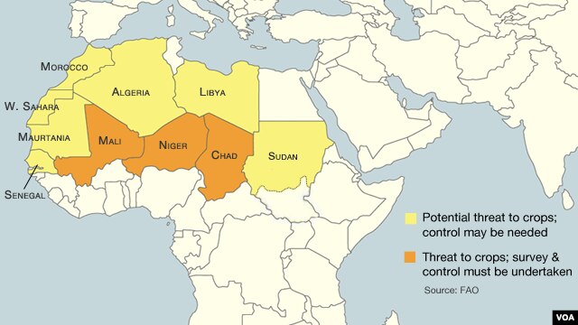 Perceived risk or threat of locust infestations, October 2012.