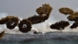 FILE - South Korean Marine amphibious assault vehicles fire smoke shells to land on the seashore during a joint landing operation by US and South Korean Marines in the southeastern port of Pohang on March 30, 2015. South Korean defense officials say the upcoming annual military drill with the United States will be the largest ever.