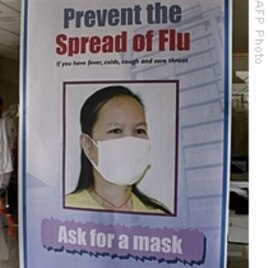 Despite Success Against Avian Flu, H5N1 Virus Remains Entrenched in 5 Countries