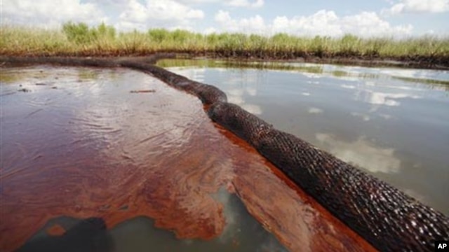 Oil collects along the shore from Gulf of Mexico spill