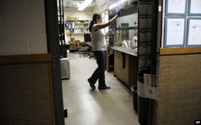 A September 19, 2011 photo shows a second-year chemistry doctoral student working at Kline Chemistry Laboratory at Yale University in New Haven, Connecticut.