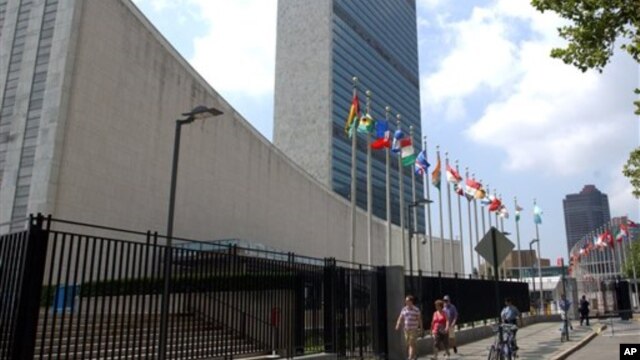 Администрирование 1С С Нуля - polcarstva