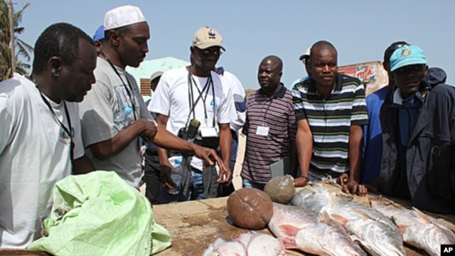 Senegalese fishermen talk with environmental groups about the changes they've seen in fishing stocks