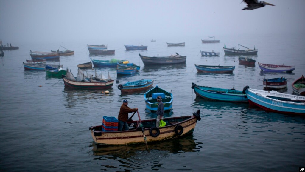 boat log in southern region fishermen protest as deadly red tide blooms in southern chile boat log in southern region fishermen protest as deadly red tide blooms in southern chile