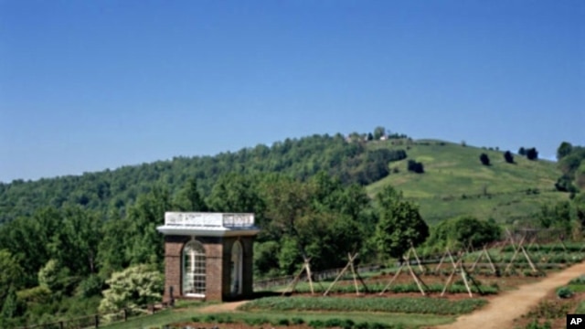 Thomas Jefferson's vegetable garden at his home of Monticello.