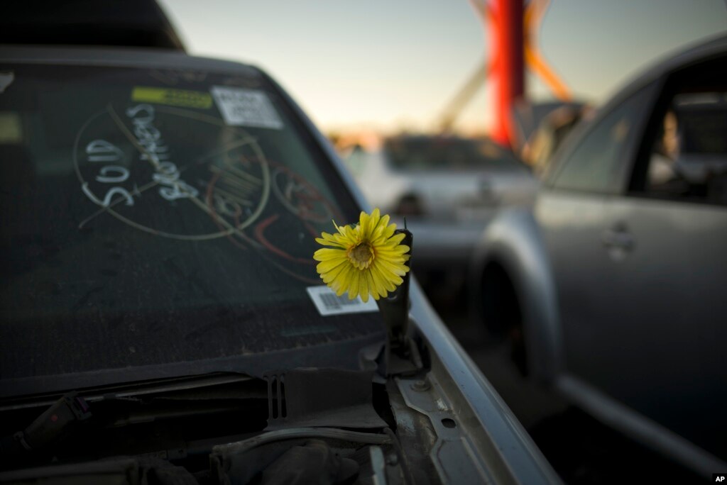 Final Curtain Drops on LA39;s Giant Hollywood Junkyard
