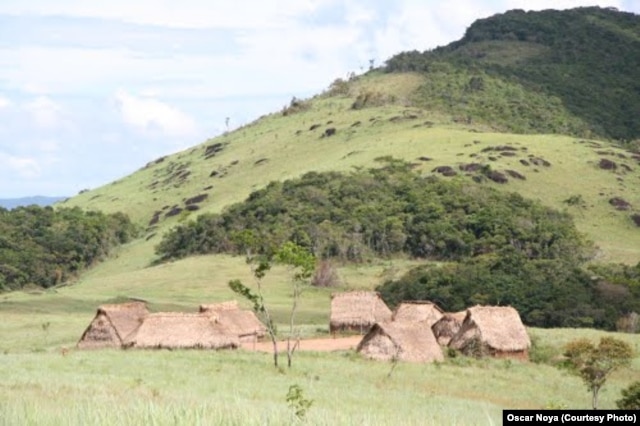 Yanomami live in small villages in a vast protected area in Venezuela. (Credit: Oscar Noya)