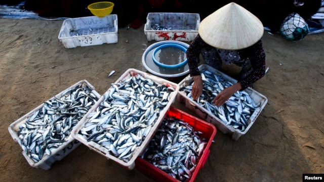 Chính quyền Việt Nam đưa ra một số khuyến cáo không nên ăn cá ở những khu vực xảy ra thảm họa.