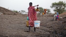 A woman carries water from a water hole near Jamam refugee camp in South Sudan's Upper Nile State, March 10, 2012.