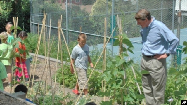 Head-Royce students grow organic vegetables as well as native plants and trees in the school's 370-square-meter garden.