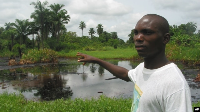 Villager shows effects of an oil spill right behind his home in Nigeria's Niger Delta region. (file photo)