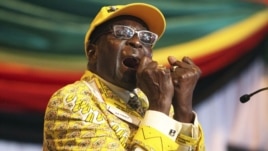 Zimbabwe Politics