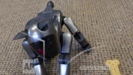robotic_dog