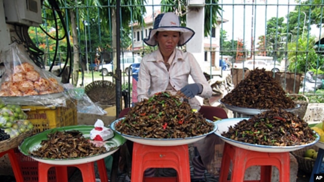 Selling insects as snacks in Cambodia