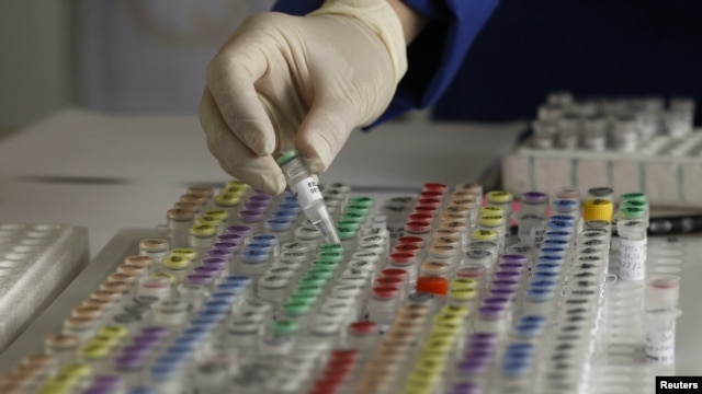 Human genetic material is stored at a laboratory in Munich, May 23, 2011.