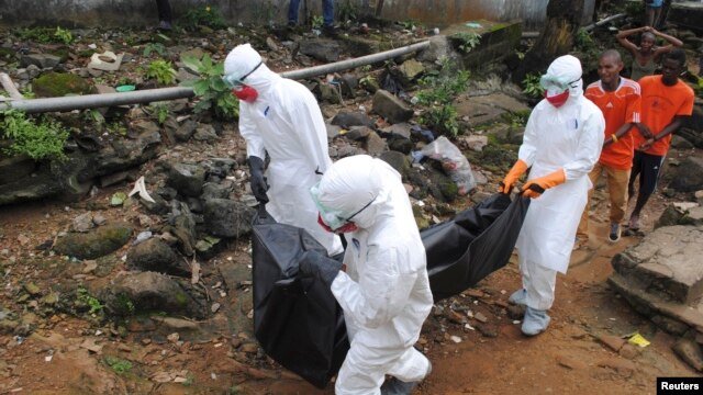 Ebola đã giết chết gần 2.300 người trong năm nay, chủ yếu là ở Guinea, Sierra Leone và Liberia.Nhân viên y tế 