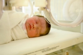 Brain development could be impacted in babies whose mothers ate poorly during pregnancy.