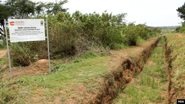 Traditional elephant control involves digging ditches, though elephants have been known to fill them in with dirt, September 28, 2012. (H. Heuler/VOA)