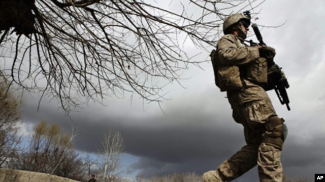 A U.S. Marine from the First Battalion Eighth Marines Alpha Company patrols near the town of Kunjak in southern Afghanistan's Helmand province, Feb. 23, 2011.