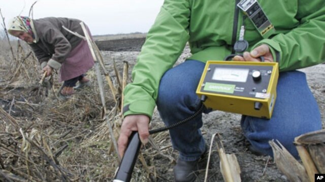 Local resident Ganna Zavorotnya, 78, collects vegetables in a field, as a Greenpeace expert measures radiation levels, in the village of the Kupovate in the 30 km zone around the Chernobyl nuclear power plant, April 4, 2011