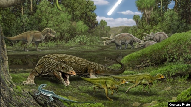 In the foreground, the carnivorous lizard Palaeosaniwa stalks a pair of hatchling Edmontosaurus as the snake Cerberophis and the lizard Obamadon look on. In the background, an encounter between T. rex and Triceratops. (Handout - Artwork by Carl Buell)