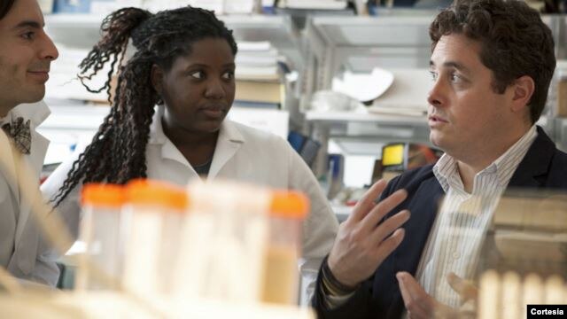 مایکل کینگ، استاد مهندسی بیوشیمی در حال کار با دانشجویان در آزمایشگاه دانشگاه کرنل