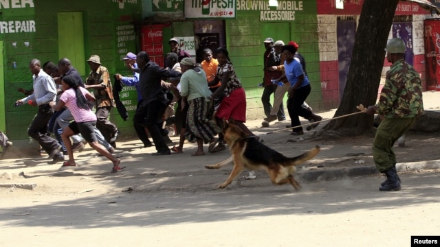 A policeman uses a dog to disperse rioters during the second day of skirmishes in the Eastleigh neighbourhood of Kenya's capital Nairobi, November 19, 2012. 