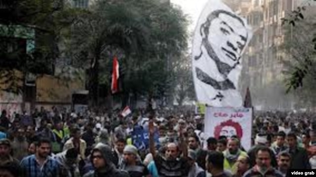 egypt activist