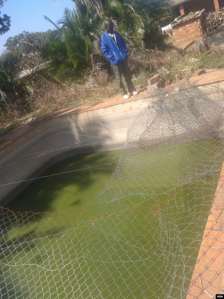 Fish Project Transforms Lives of Struggling Zimbabweans