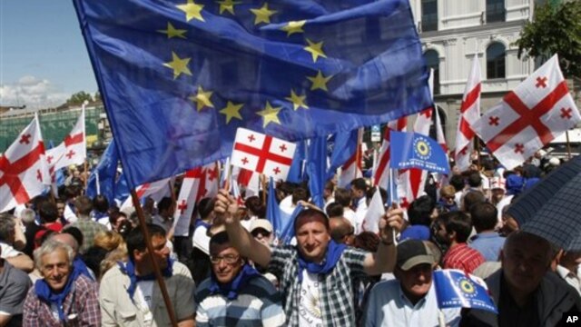 Грузия участвует в санкциях против России