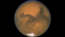 A mund të rriten bimët në Mars?