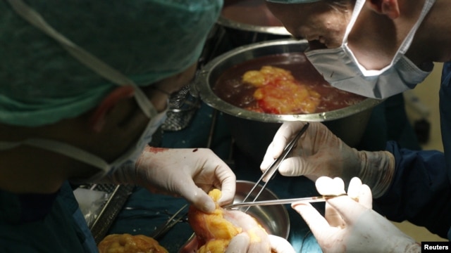 Surgeons clean a kidney after an operation 