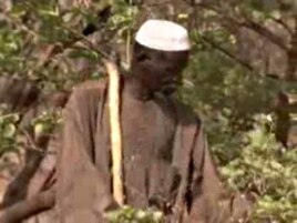 Burkinabe farmer Yacouba Sawadogo has raised a forest on what used to be barren land.