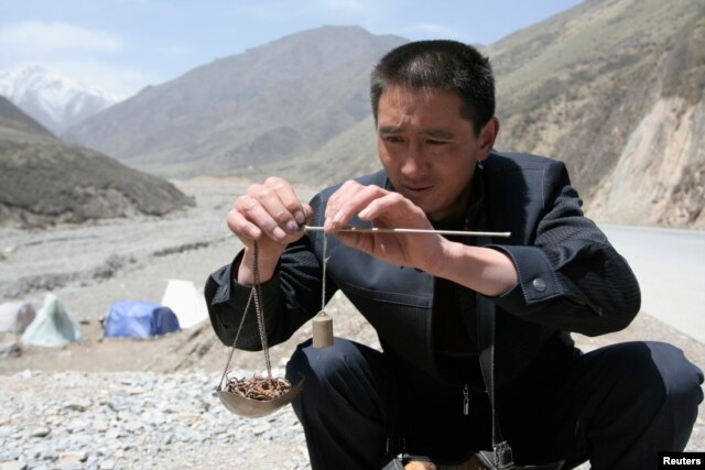 一位当地买家在称量一把冬虫夏草。中国青海省西部，贵德县拉鸡山。