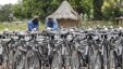 Lesson 15: Smuggling Bicycles 