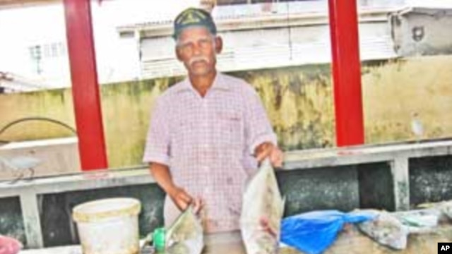 Seychelles Official Warns of Threats to Country’s Tuna Industry